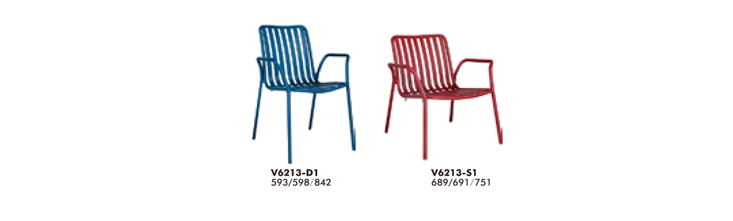 V6213-D1